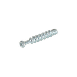 Ekscentra savilcējskrūve, M-6mm, L-34mm, cinks