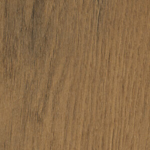 HPL mala - Pale Lancelot Oak