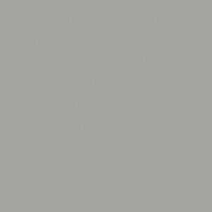 ABS mala - Chinchilla Grey