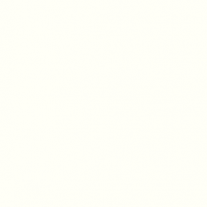 Sienas panelis - SOLID ALPINE WHITE
